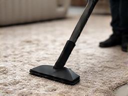 Rug cleaning service
